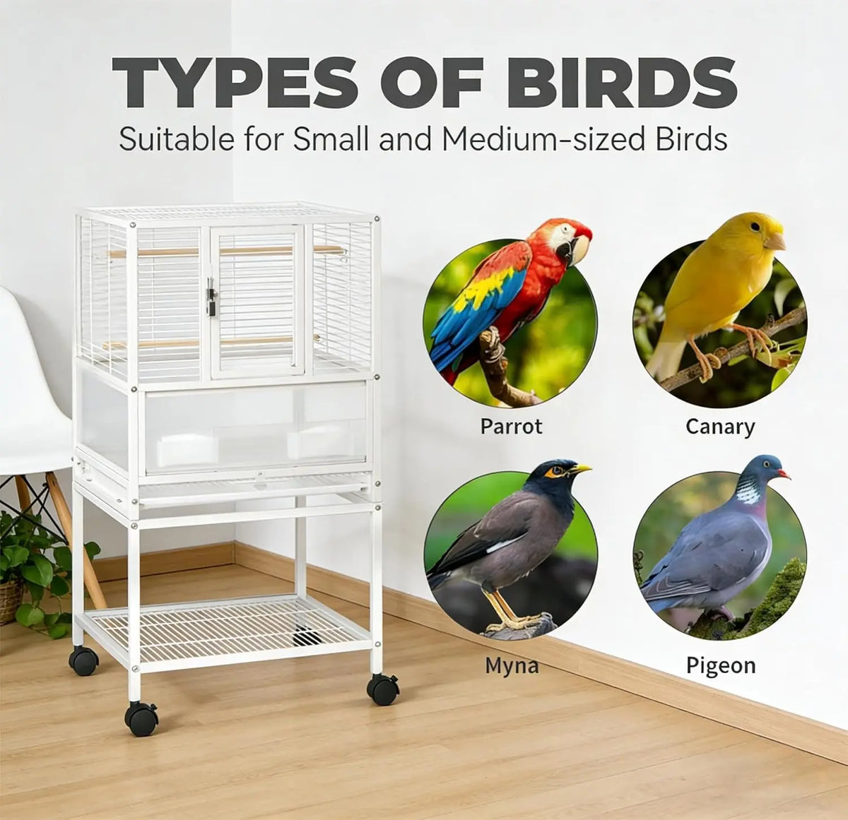 Premium Wrought Iron Bird Cage Versatile Travel Carrier With Wheels