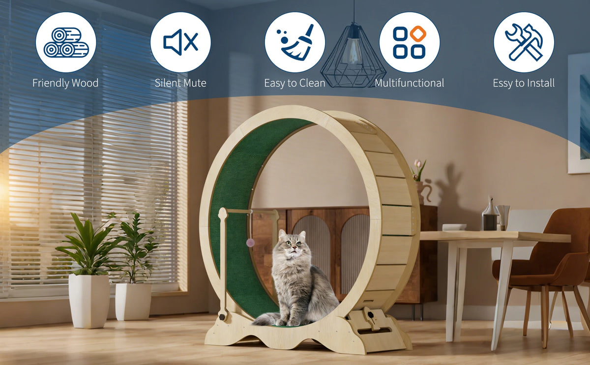 Quiet Wooden Cat Exercise Wheel For Indoor Fitness And Training