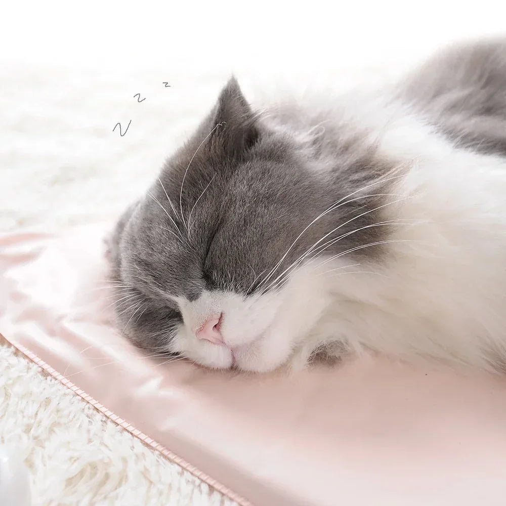 Waterproof Pet Heating Blanket Warm Winter Cat Dog Bed Mat