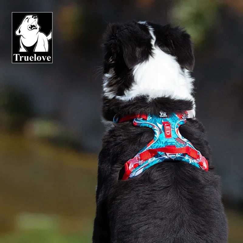 Truelove Adjustable Padded Dog Harness With Reflective Nylon