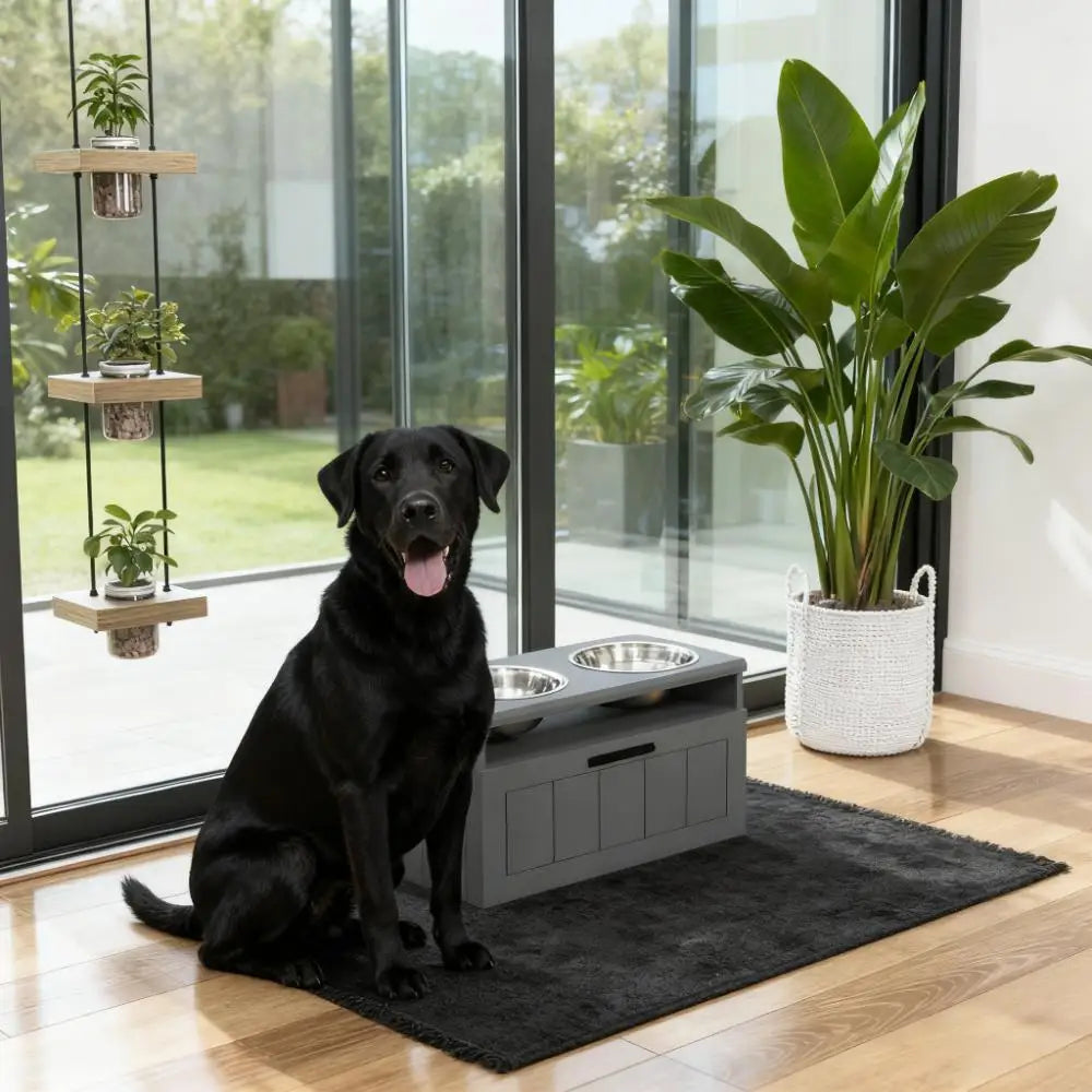 Elevated Wooden Dog House With Weatherproof Porch And Openable Roof