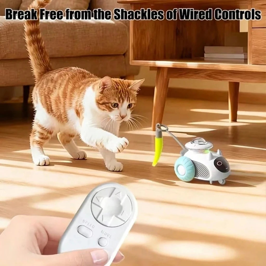 Usb Rechargeable Obstacle Avoidance Cat Toy Robot With Smart Remote Control