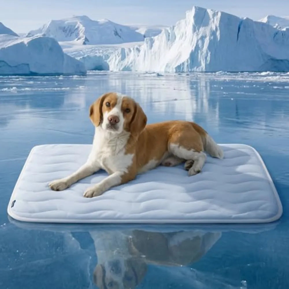 Breathable Cooling Pet Mat Designed For Maximum Comfort