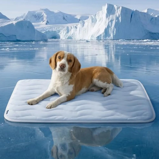 Breathable Cooling Pet Mat Designed For Maximum Comfort