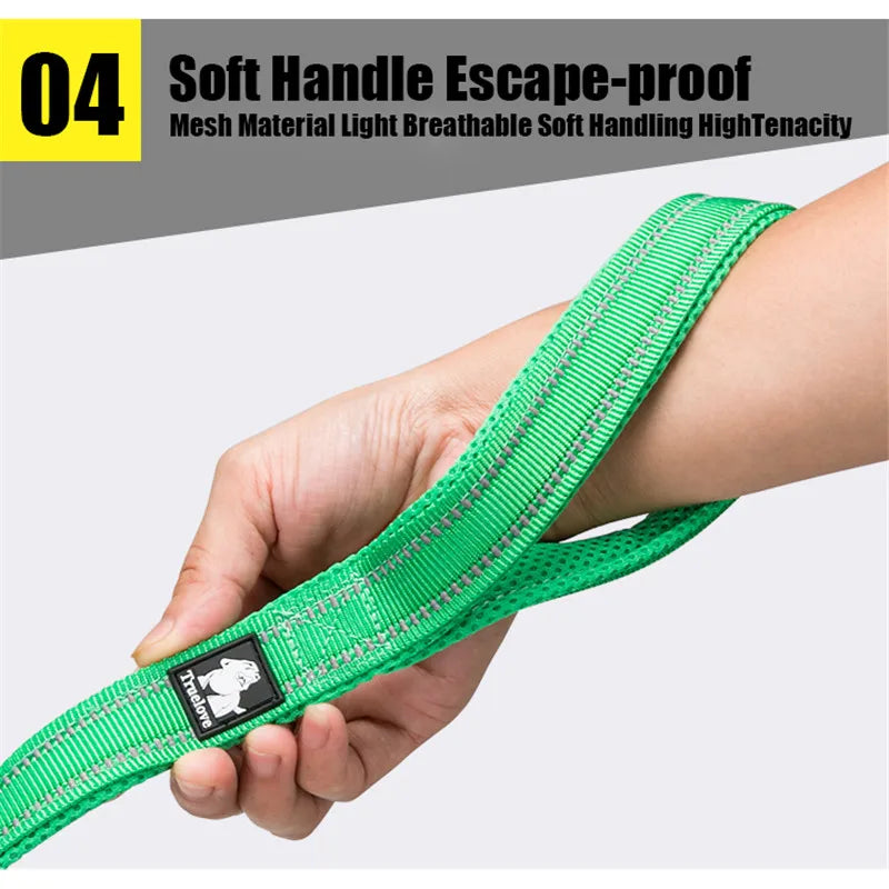Truelove Reflective Nylon Padded Dog Leash Quick Release