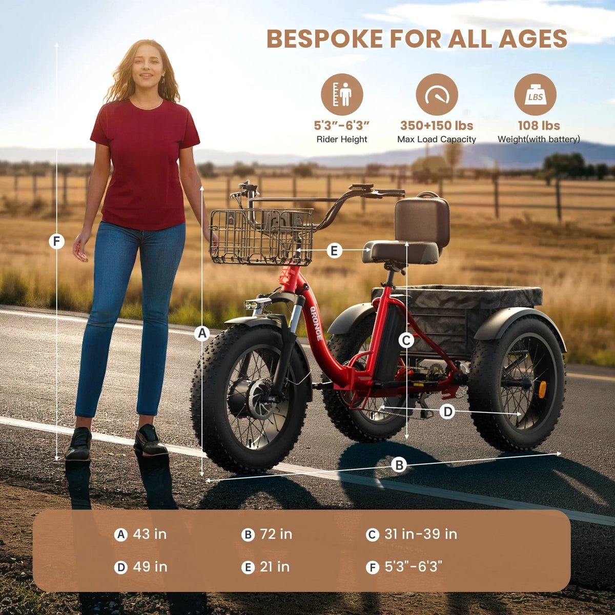 QRONGE Folding Electric Tricycle 1200W 20AH Battery Fat Tire