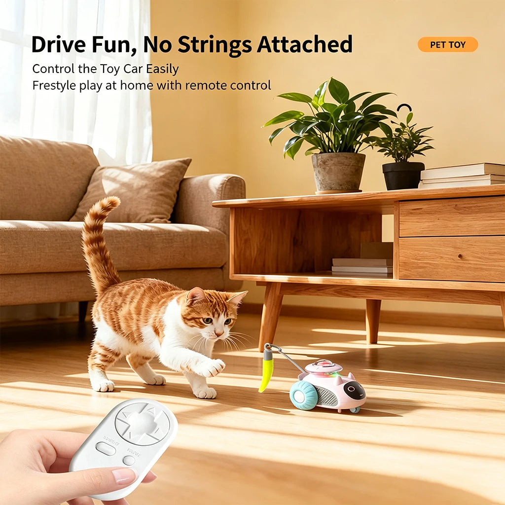 Usb Rechargeable Obstacle Avoidance Cat Toy Robot With Smart Remote Control