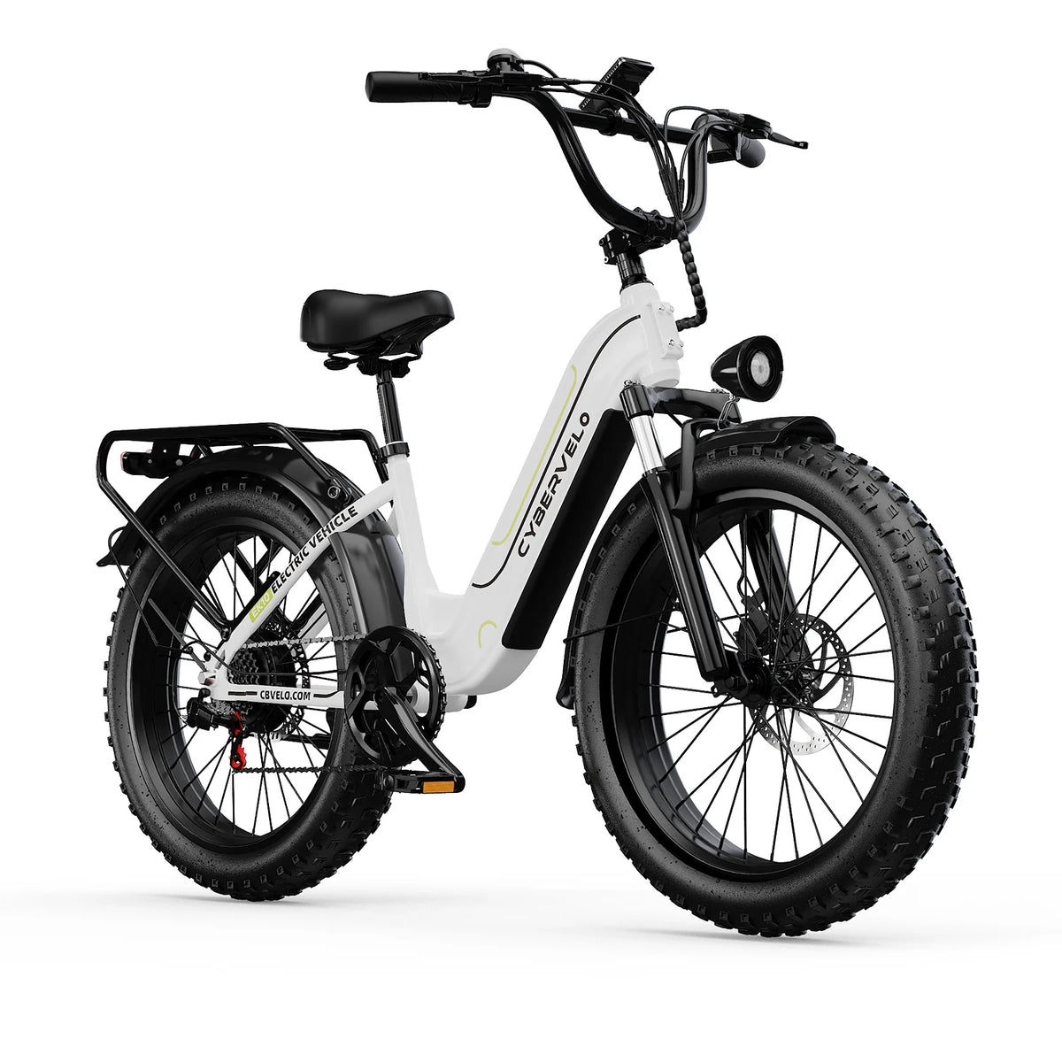 Lionland 1000W Fat Tire Electric Bike With 48V Removable Battery