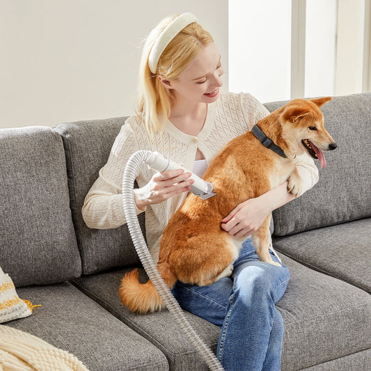 Professional Cordless Pet Grooming Vacuum Kit With Clipper Tools