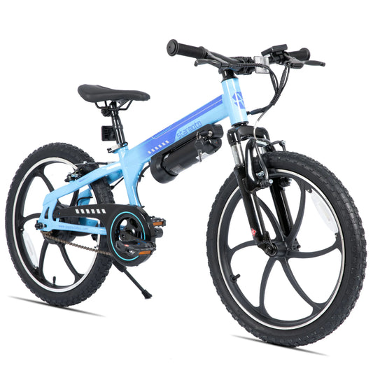 JOYSTAR 20 Inch Electric Bike for Kids & Teens Ages 7+ 250W Brushless Motor 15 Miles 15.5MPH Electric Mountain Bicycle Removable Battery Dual V-Brakes