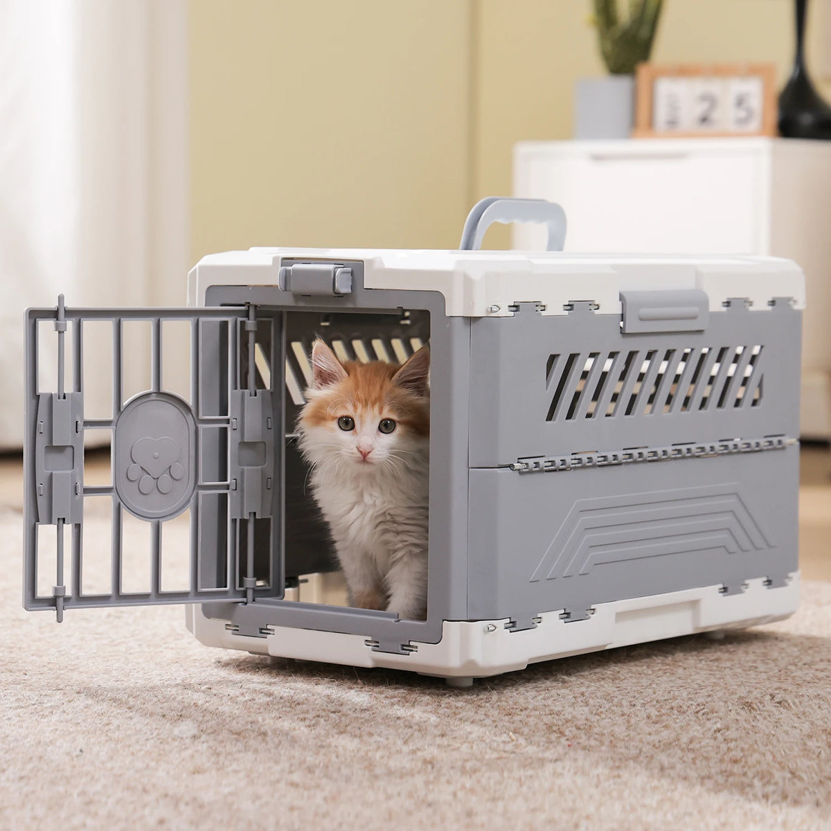 PAWZ Road Foldable Pet Travel Carrier With Secure Door
