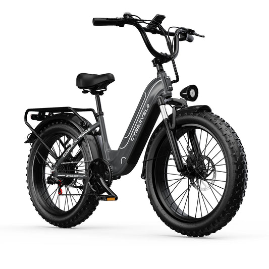 Lionland 1000W Fat Tire Electric Bike With 48V Removable Battery