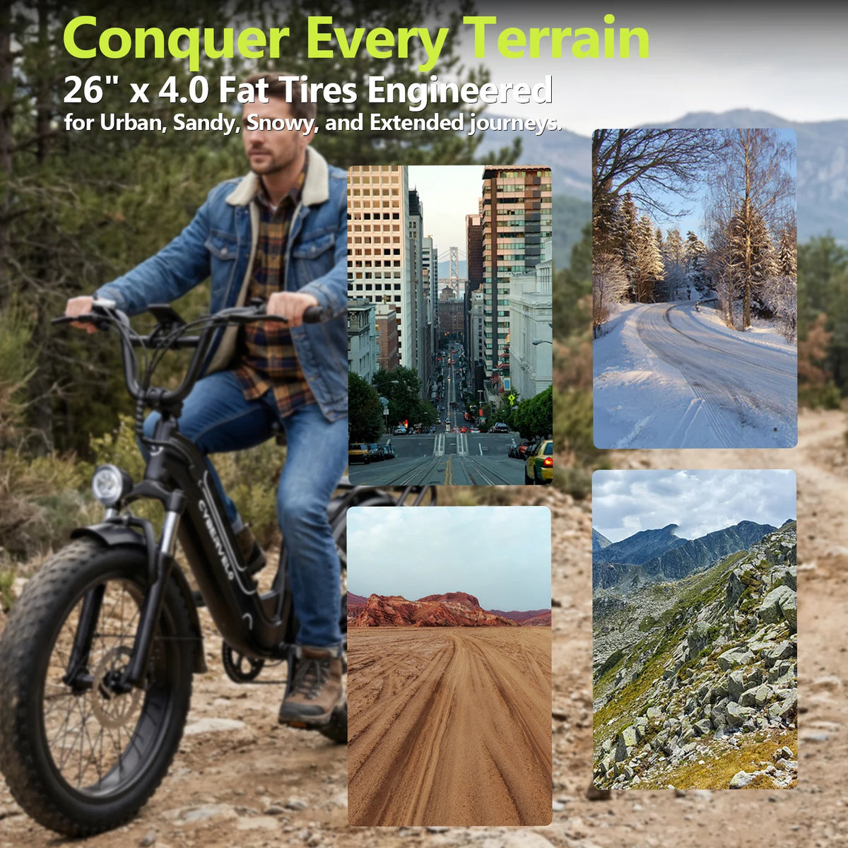 Lionland All Terrain Fat Tire Electric Commuter Bike
