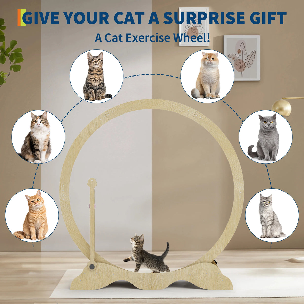 Quiet Wooden Cat Exercise Wheel For Indoor Fitness And Training