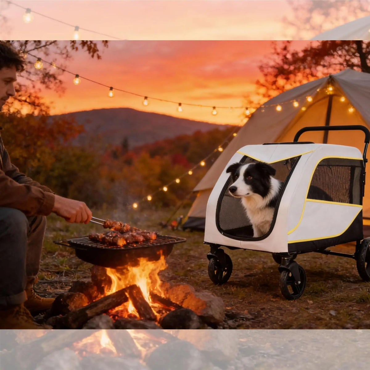 Collapsible Dual Entry Dog Stroller For Large And Medium Pets