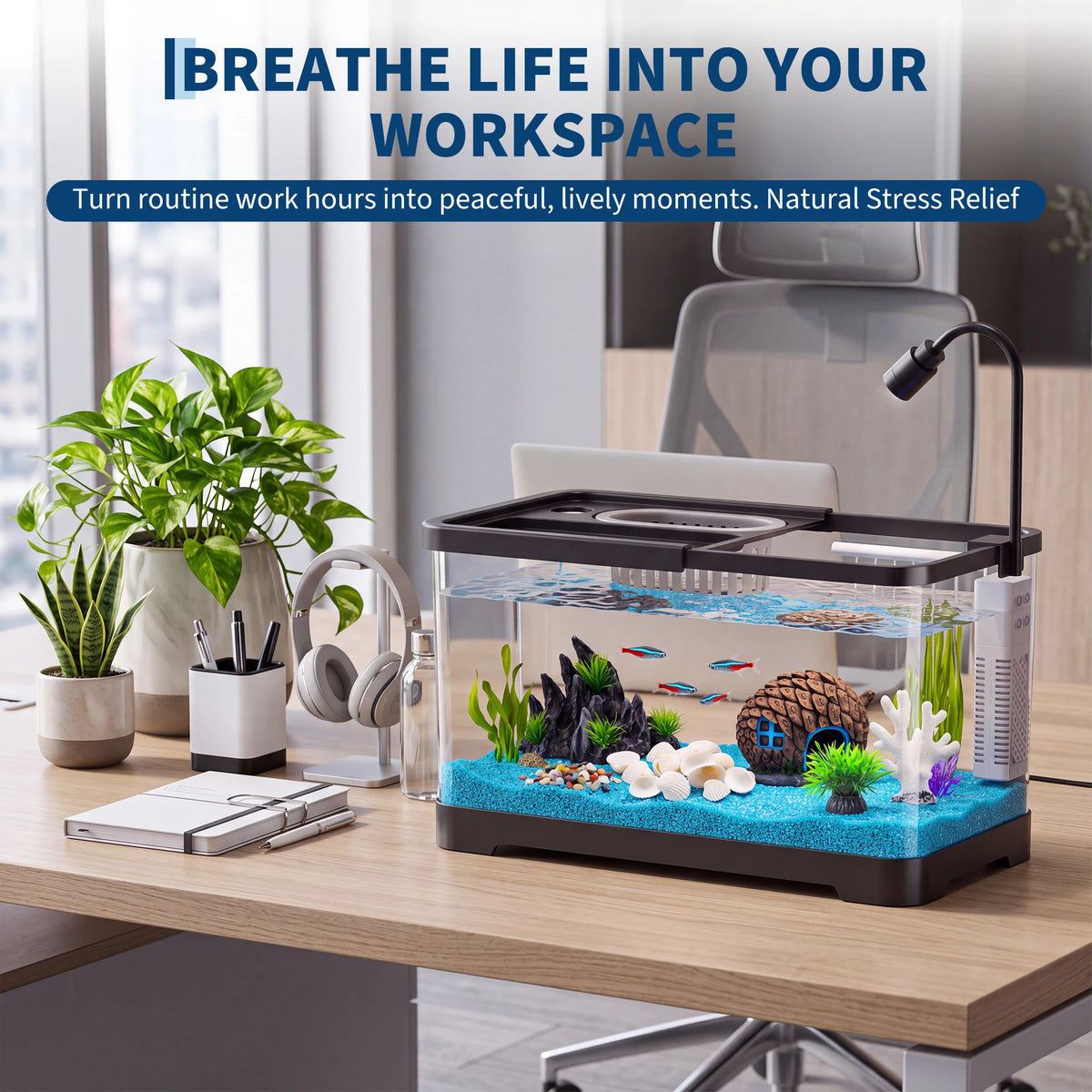 Compact Led Fish Tank Starter Kit With Oxygen Generator System