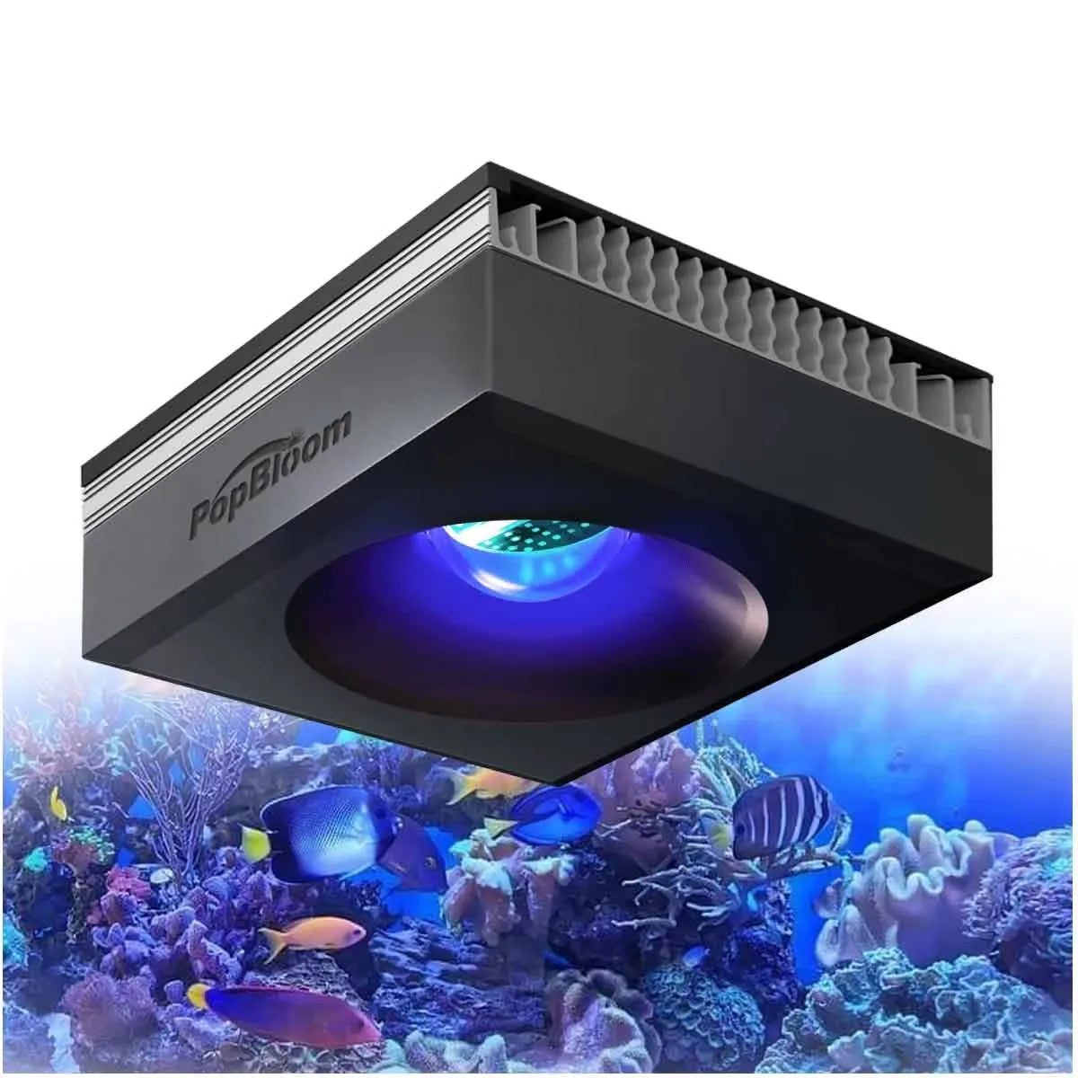 PopBloom 100W Full Spectrum LED Reef Aquarium Light