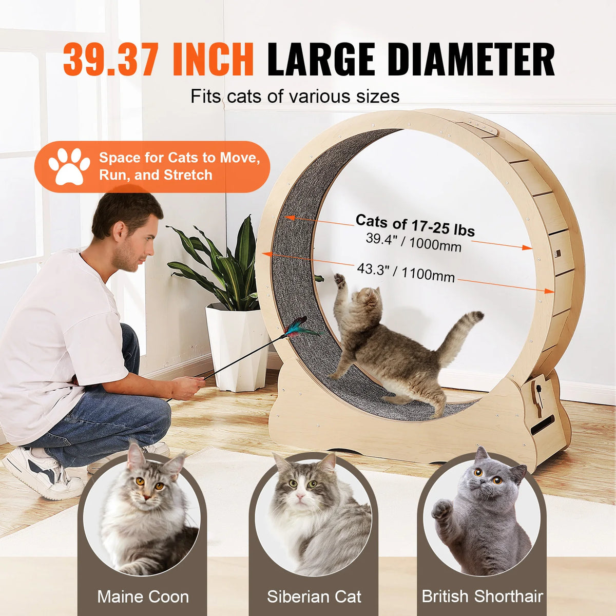 Wooden Cat Exercise Wheel With Detachable Scratching Pad
